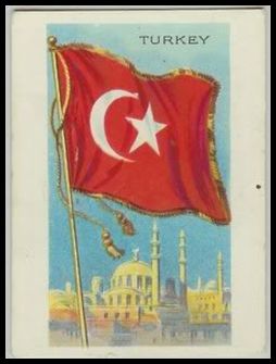 T60 91 Turkey.jpg